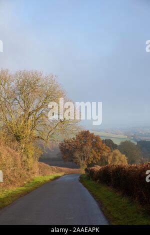 Cotswold lane près de Chipping Campden, Gloucestershire, Angleterre. Banque D'Images