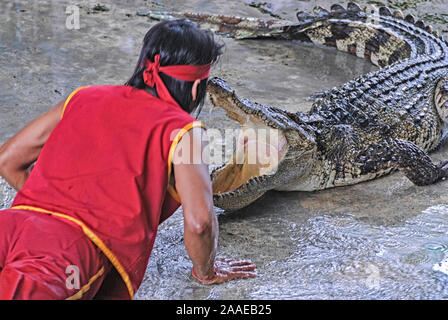 Spectacle de crocodiles à la ferme et au zoo de crocodiles de Samut prakarn. Thaïlande Banque D'Images