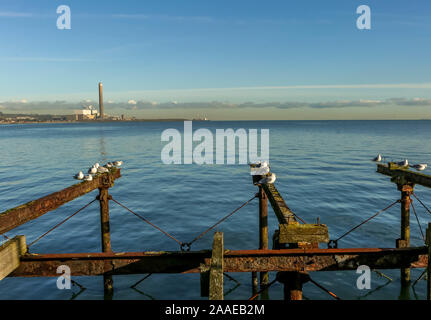 Port de plaisance de Carrickfergus. Banque D'Images