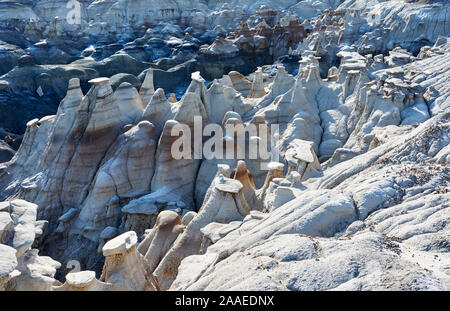 Bisti Badlands De-Na-Zin rock formations in New Mexico, USA Banque D'Images