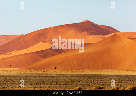 Dans les dunes de sable rouge de Sossusvlei, Deadvlei, Namib-Naukluft National Park, Namibie, Afrique Banque D'Images