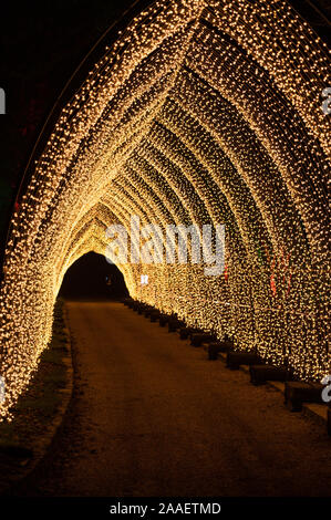 Blenheim Palace, Oxfordshire, UK. 21 Nov, 2019. Des installations lumineuses dans les motifs de Blenheim Palace dans le cadre de leur célébration de Noël. Crédit : Andrew Walmsley/Alamy Live News Banque D'Images