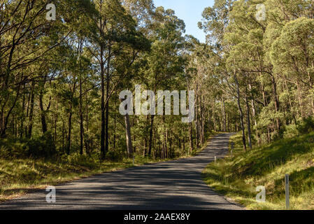 L'Alpine Way serpentant dans les montagnes enneigées de l'Australie à l'été Banque D'Images