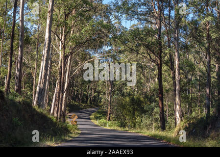 L'Alpine Way serpentant dans les montagnes enneigées de l'Australie à l'été Banque D'Images