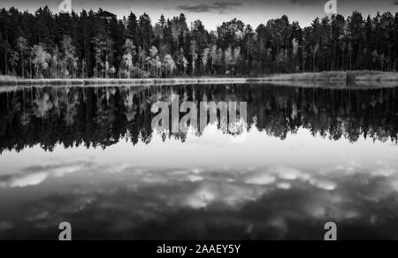 Vue sur lac Kingari. Noir et blanc. Nature de la Lettonie. Beau paysage. Banque D'Images