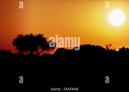 Coucher du soleil dans le désert de Namibie, l'Afrique Banque D'Images