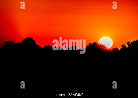 Coucher du soleil dans le désert de Namibie, l'Afrique Banque D'Images