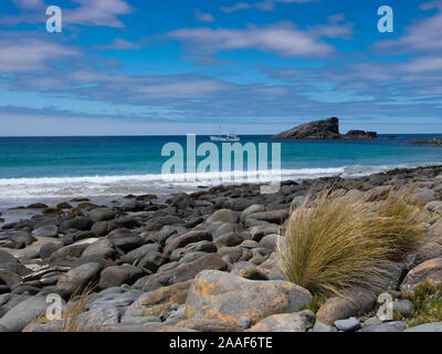 Beach Vista at Cape Bruny, Tasmanie Banque D'Images