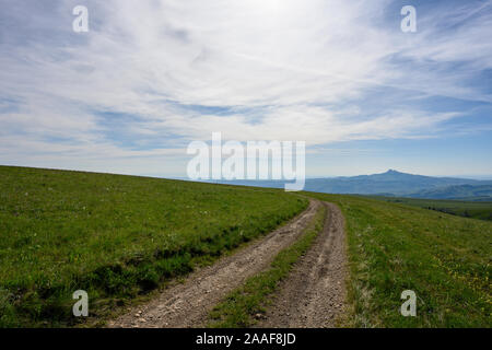 Route de terre coupe à travers champ vert dans le Wyoming désert en été Banque D'Images