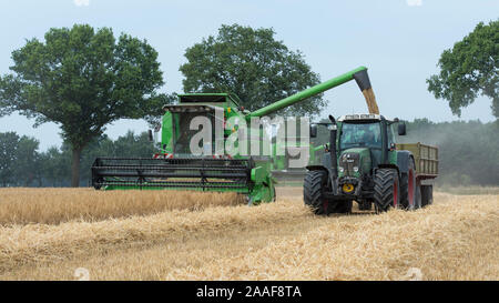 Getreideernte Traktor mit Banque D'Images