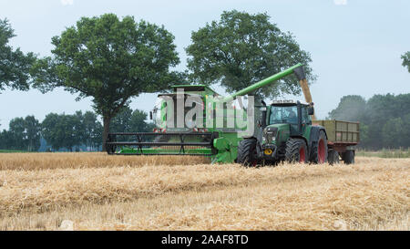 Getreideernte Traktor mit Banque D'Images