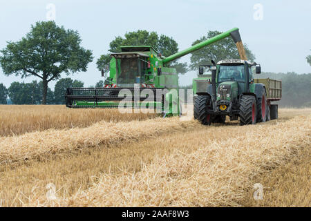 Getreideernte Traktor mit Banque D'Images