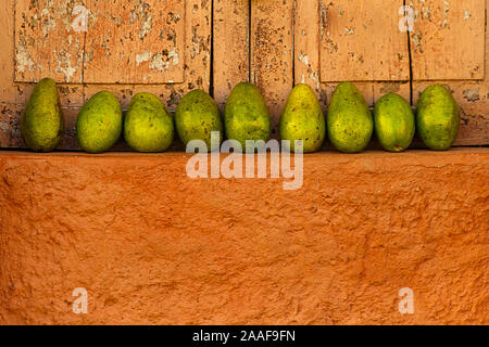 Bordée mangos placés dans une fenêtre II , Trinidad - Cuba Banque D'Images