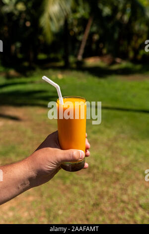 Un homme tient dans sa main un verre de jus de mangue. Banque D'Images