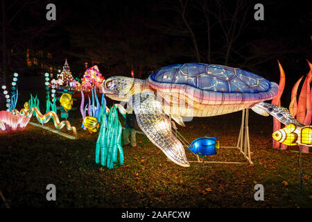 New York, USA. 20 Nov, 2019. LED-allumé lanternes sont vus à l'hiver de la ville de New York Festival à Staten Island, New York, États-Unis, 20 novembre 2019. La deuxième édition annuelle de la ville de New York Festival de lanternes d'hiver ont démarré le mercredi, comme des milliers de lampions allumés jusqu'à 10 acres de la ville, arrondissement de Staten Island. Credit : Muzi Li/Xinhua/Alamy Live News Banque D'Images