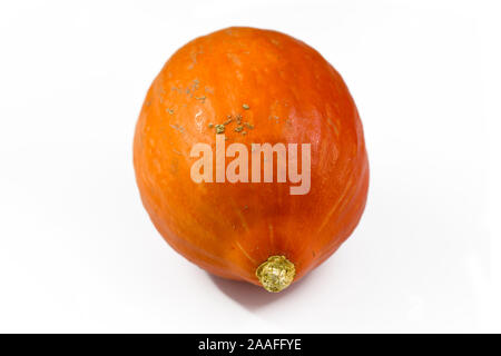 'Ronde' Red Kuri squash, appelés également "Hokkaido" squash, une table ronde avec légumes automne orange thik peau isolé sur fond blanc Banque D'Images