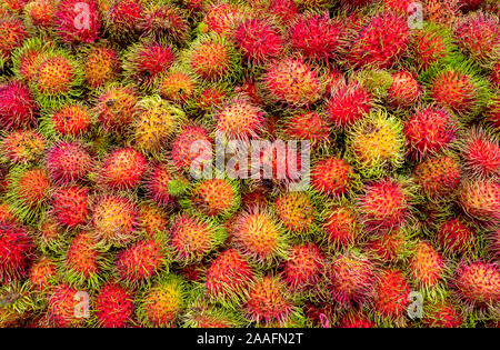 La photo en gros plan de rambutan fruit au marché asiatique Banque D'Images