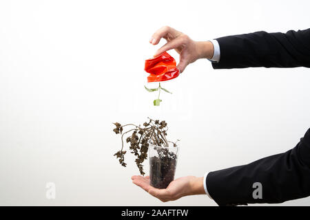 - Responsabilité sociale de l'homme d'écraser une tasse en plastique. Éviter le plastique -dire oui à des biens durables pour sauver la planète. Banque D'Images