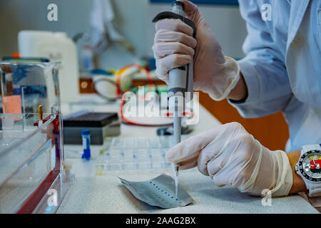 Les échantillons de scientifique met de fragments d'ADN sur l'aluminium pour l'électrophorèse en utilisant une pipette. Banque D'Images