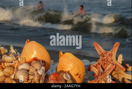 À Marina beach,des objets marins recueillis par les habitants sont placés dans la lumière du soleil de l'après-midi avec les vagues de la baie du Bengale, dans la zone de Banque D'Images