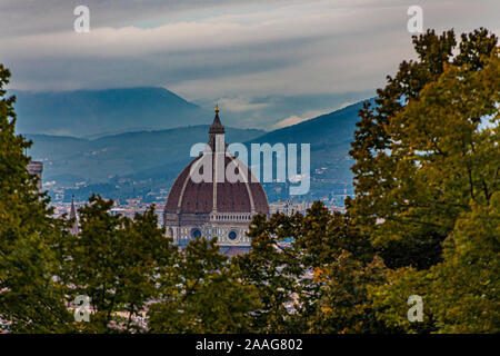 Les arbres au-delà du dôme Banque D'Images