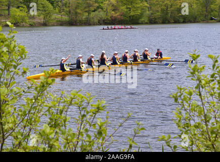 New Preston, CT USA. Mai 2016. Les rameurs de l'équipe de sourire et de forme d'encourager vos amis, votre famille et des membres de l'équipe à terre. Banque D'Images