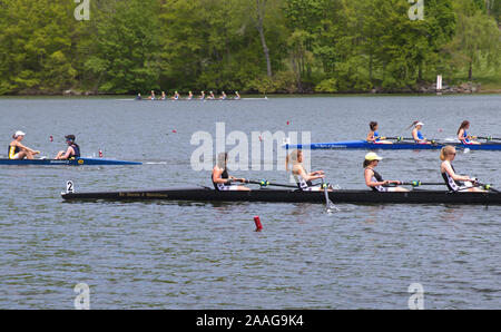 New Preston, CT USA. Mai 2016. Régate de l'équipage en action au lac Waramaug. Banque D'Images