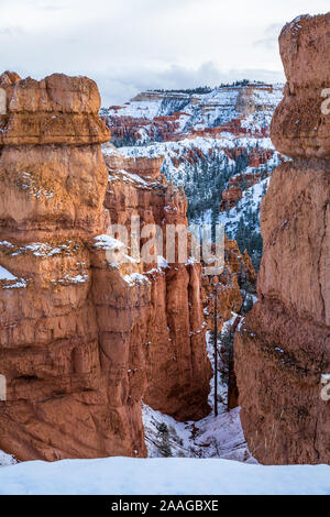 Neige dans le Bryce Canyon, Utah. En regardant la neige à travers la fente étroite dans le canyon de Bryce Canyon sur un sentier la tempête d'hiver. Banque D'Images