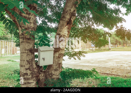 Le contrôle de l'alimentation électrique Old rusty fort sur l'arbre dans le parc public. Banque D'Images