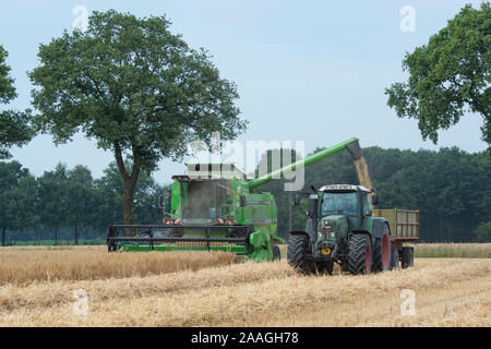 Getreideernte Traktor mit Banque D'Images