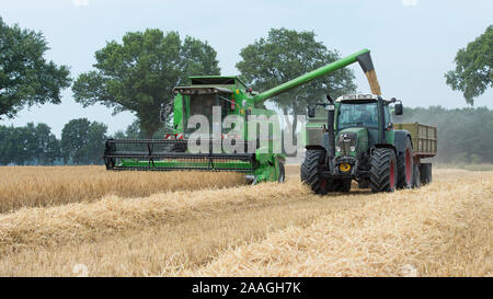 Getreideernte Traktor mit Banque D'Images