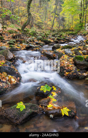 Fluss Bode, Herbstlaub, Banque D'Images