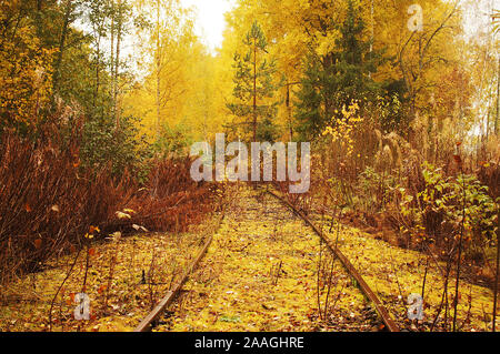 Abandonné les voies de chemin de fer menant à nulle part dans les couleurs de l'automne plein Banque D'Images