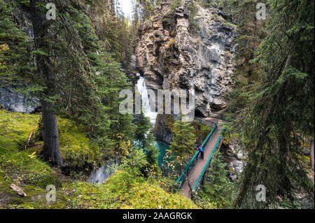 Johnston Canyon waterfall avec sentier pédestre en forêt d'automne au parc national Banff, Canada Banque D'Images
