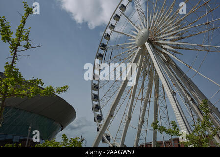 LIVERPOOL, Angleterre, Royaume-Uni - Juin 07, 2017 : avis de l'ÉCHO Convention Center et une grande roue adjacente à Liverpool, en Angleterre Banque D'Images