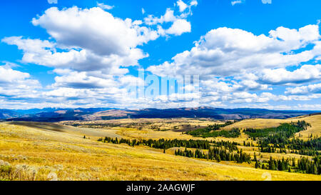 Les prairies et montagnes vue de la Grand Loop Road entre Canyon Village et Tower Junction dans le Parc National de Yellowstone, Wyoming, Etats-Unis Banque D'Images