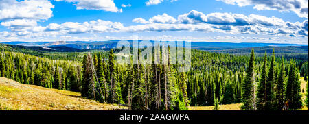 Vue panoramique de Mt. Washburn Outlook sur la Grand Loop Road dans le Parc National de Yellowstone, Wyoming, United States Banque D'Images