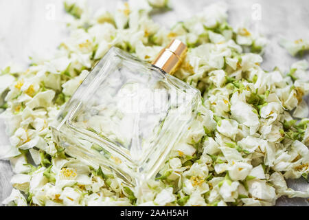 Jasmine parfum pur en bouteille transparente avec des fleurs de jasmin séchées blanc, parfum floral essence Banque D'Images