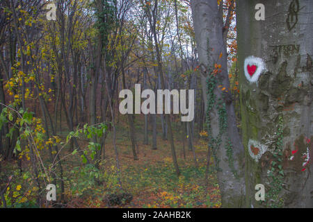 Forme de coeur la peinture à la surface de l'arbre dans le parc de l'amour à Fruska Gora, en Serbie Banque D'Images