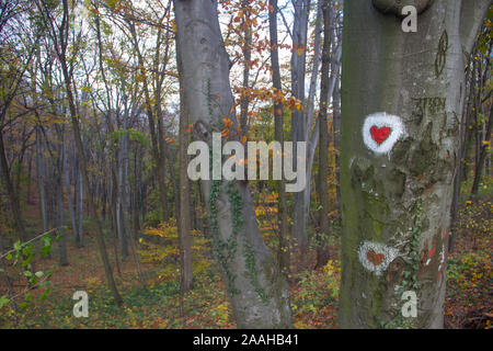 Forme de coeur la peinture à la surface de l'arbre dans le parc de l'amour à Fruska Gora, en Serbie Banque D'Images