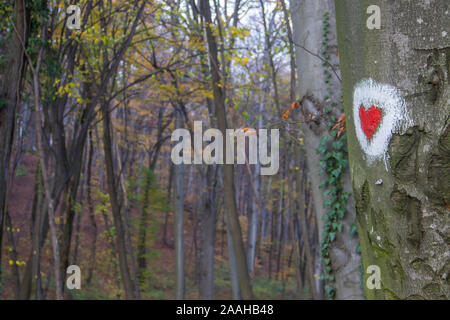 Forme de coeur la peinture à la surface de l'arbre dans le parc de l'amour à Fruska Gora, en Serbie Banque D'Images