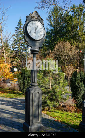 Réveil vintage décoratif en haut d'un pilier de laiton dans une rue de la ville de Sinaia, Roumanie Banque D'Images