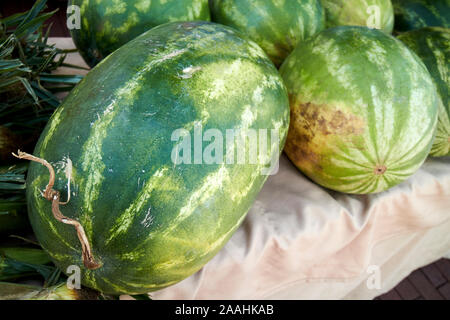 Pastèques à vendre à un marché de producteurs locaux à celebration florida usa Banque D'Images