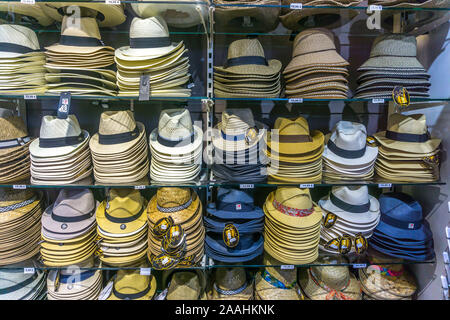 Affichage de Panama, paille, chapeaux trilby, sur une étagère dans un magasin de l'Autriche, Vienne, Autriche, Europe. Banque D'Images