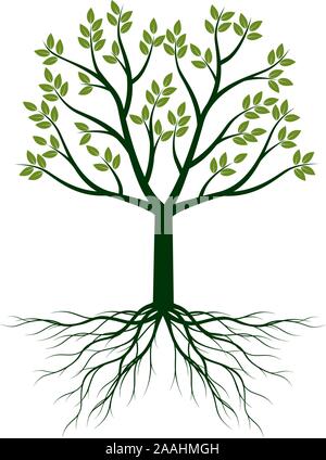 Arbre vert avec des feuilles et des racines. Contour Vector Illustration. Plante dans le jardin. Illustration de Vecteur