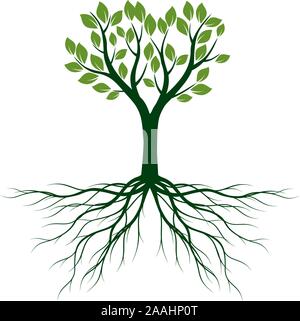 Arbre vert avec des feuilles et des racines. Contour Vector Illustration sur fond blanc. Plante dans le jardin. Illustration de Vecteur