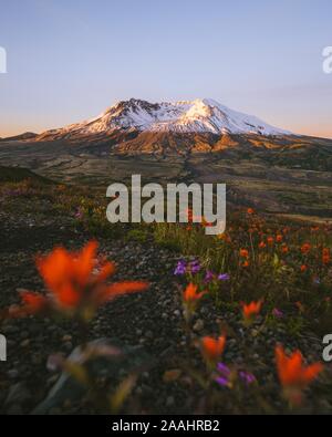 Coucher de soleil sur le Mont St Helens National Monument, Arizona, USA Banque D'Images