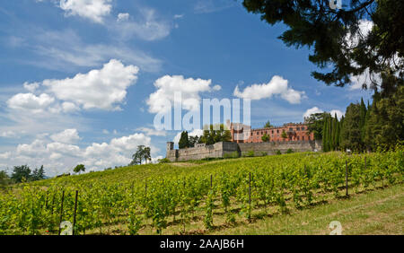 La production de vin dans la région de collines du Chianti de la Toscane centrale près de Brolio Banque D'Images