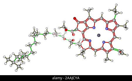La structure moléculaire de la chlorophylle A Banque D'Images