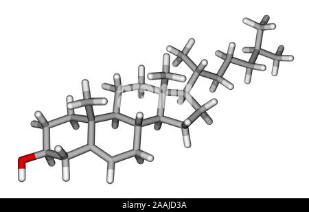 Bâtonnets de cholestérol le modèle moléculaire Banque D'Images